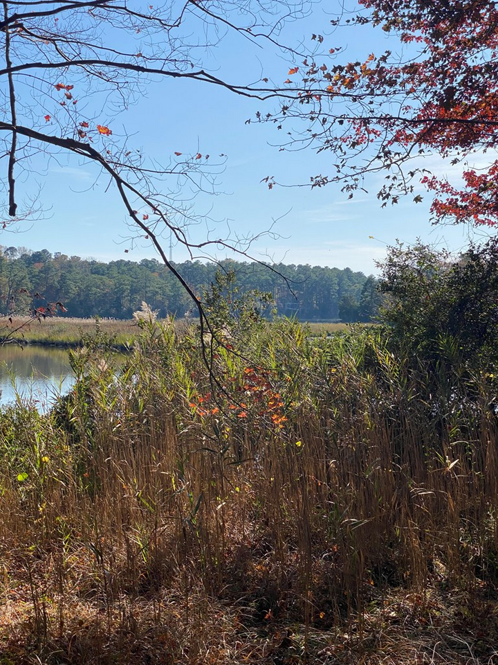 Property Photo:  Lot 2 Terrapin Station Rd  VA 23306 