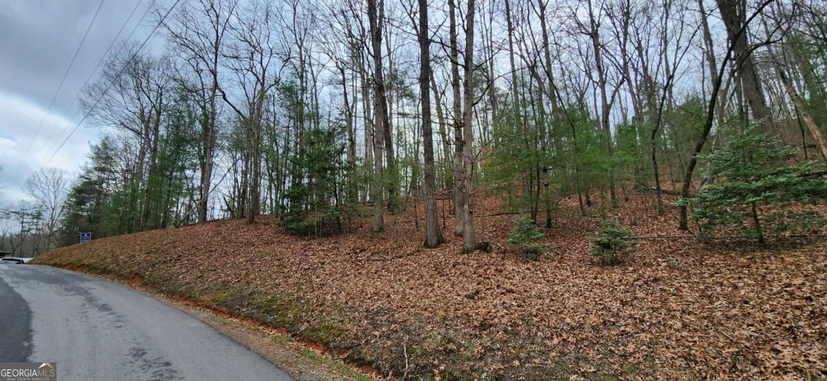 Property Photo:  Lot 13 Mangums Trail  GA 30513 