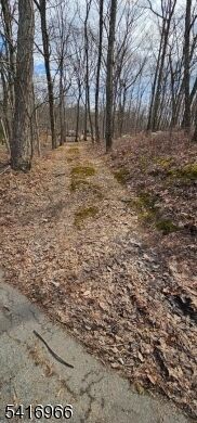 Property Photo:  0 Upper Hibernia Rd  NJ 07866 