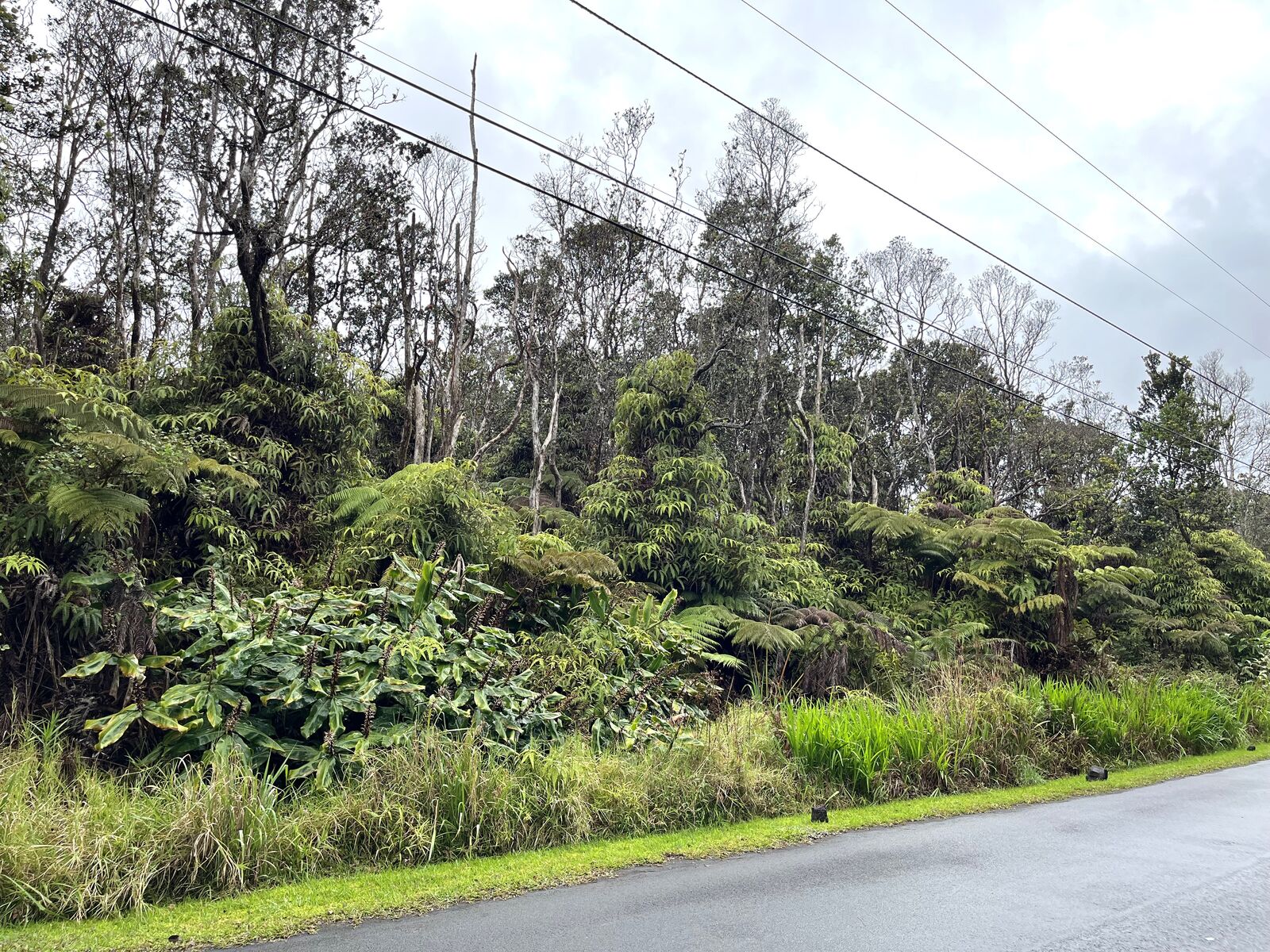 Property Photo: Nahelenani St HI 96785