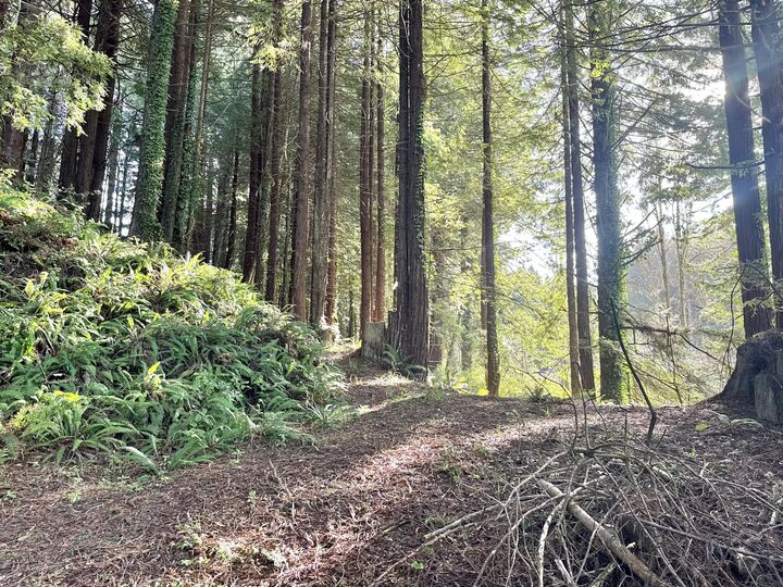 Property Photo:  0 Spears Road  CA 95503 