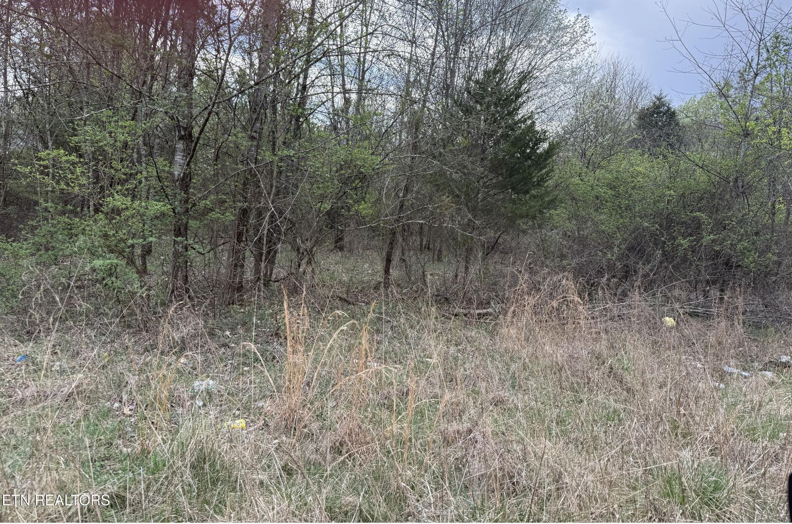 Property Photo:  159 Foxwood Drive Lot 8  TN 37763 