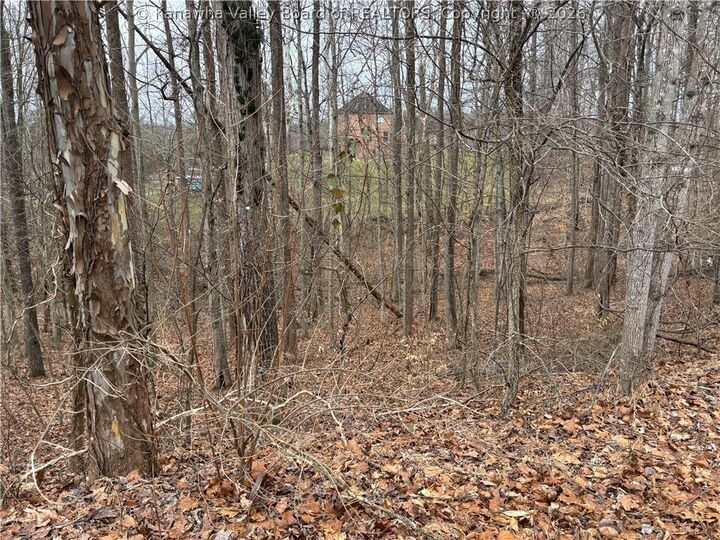 Property Photo:  0 A Stones Throw 16,23,26  WV 25177 