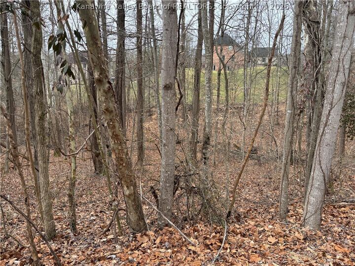 Property Photo: 0 A Stones Throw 16,23 WV 25177