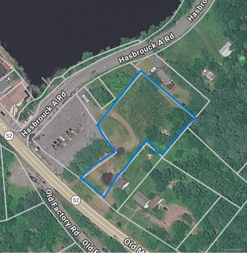 Property Photo: 1122 State Route 52 NY 12759