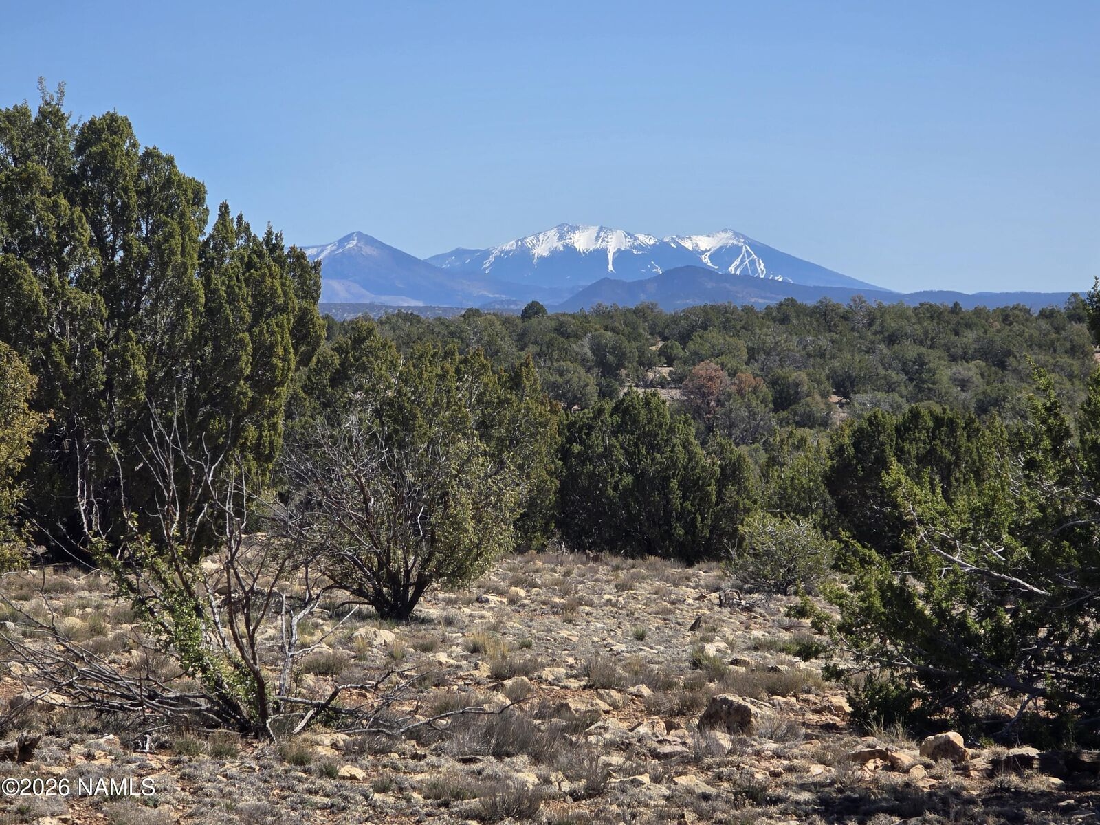 Property Photo:  8299 W Clear Fork Loop  AZ 86046 