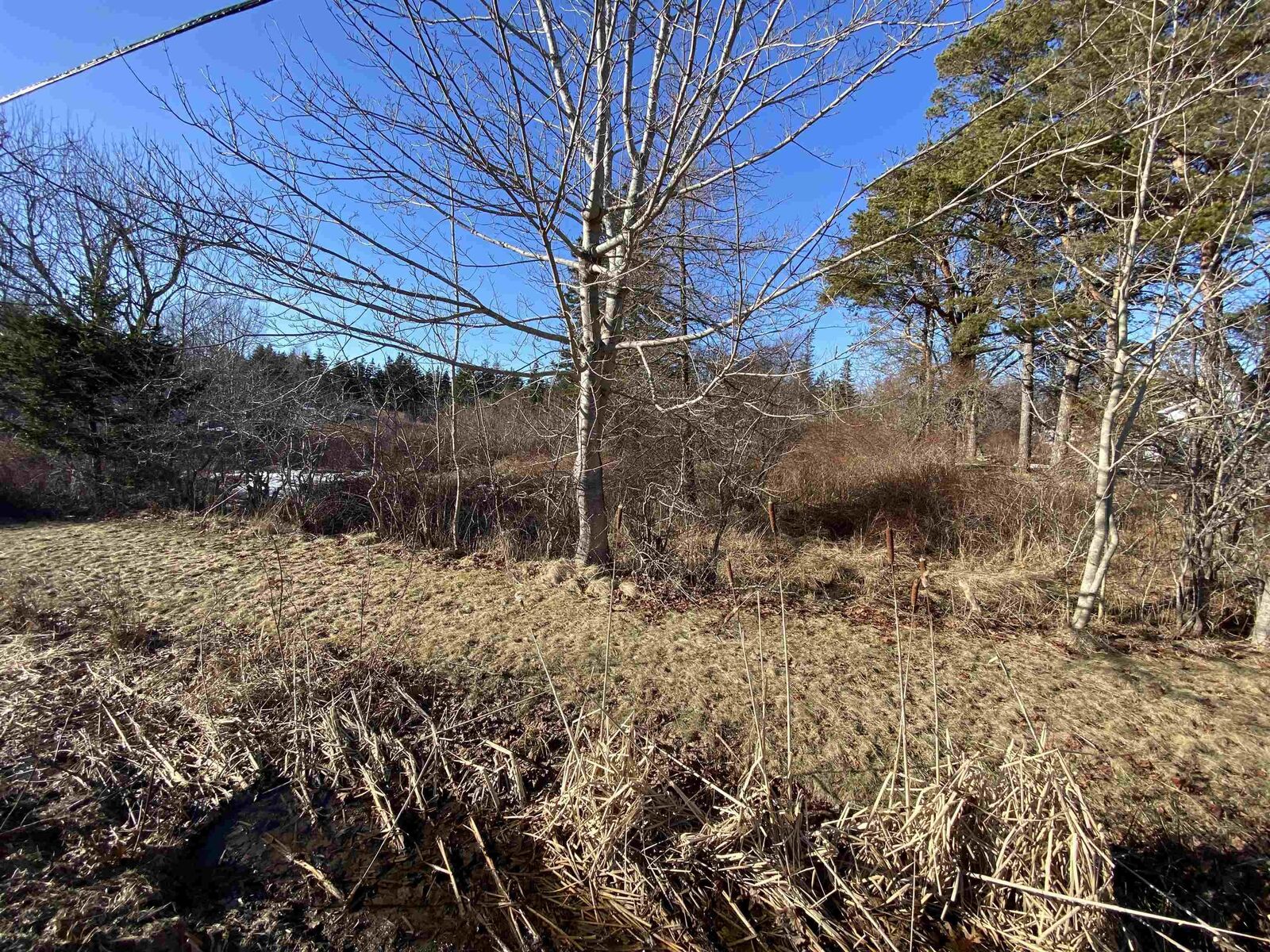 Property Photo:  3 Highway  NS B0W 1B0 