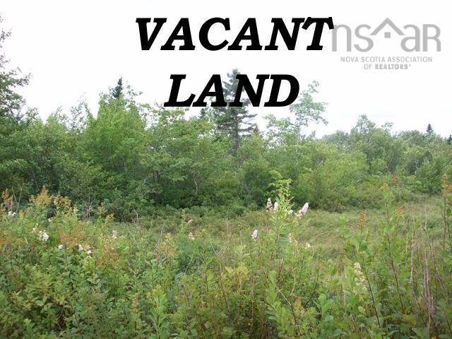 Lot (Pid 70103726) Mill Village East Road — photo 1