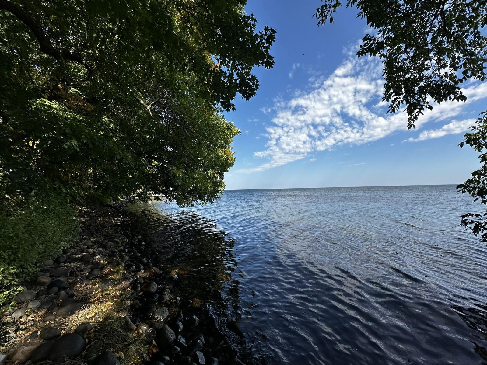 Property Photo:  Lot 37&Amp38 Earle Brown Drive  MN 56450 