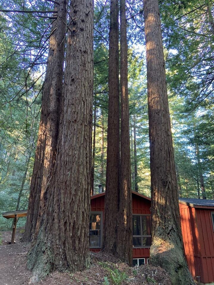 Property Photo:  155 Native Sons Road  CA 94062 