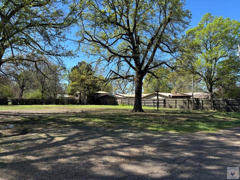 Property Photo:  704 E Ave E  TX 75561 