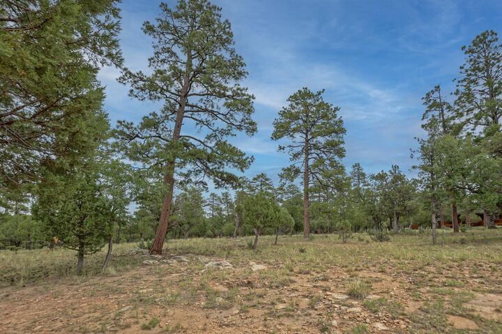 Property Photo: 2961 Eagle Ridge Circle AZ 86024