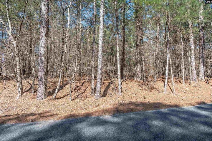 Property Photo:  0 Windy  SC 29054 