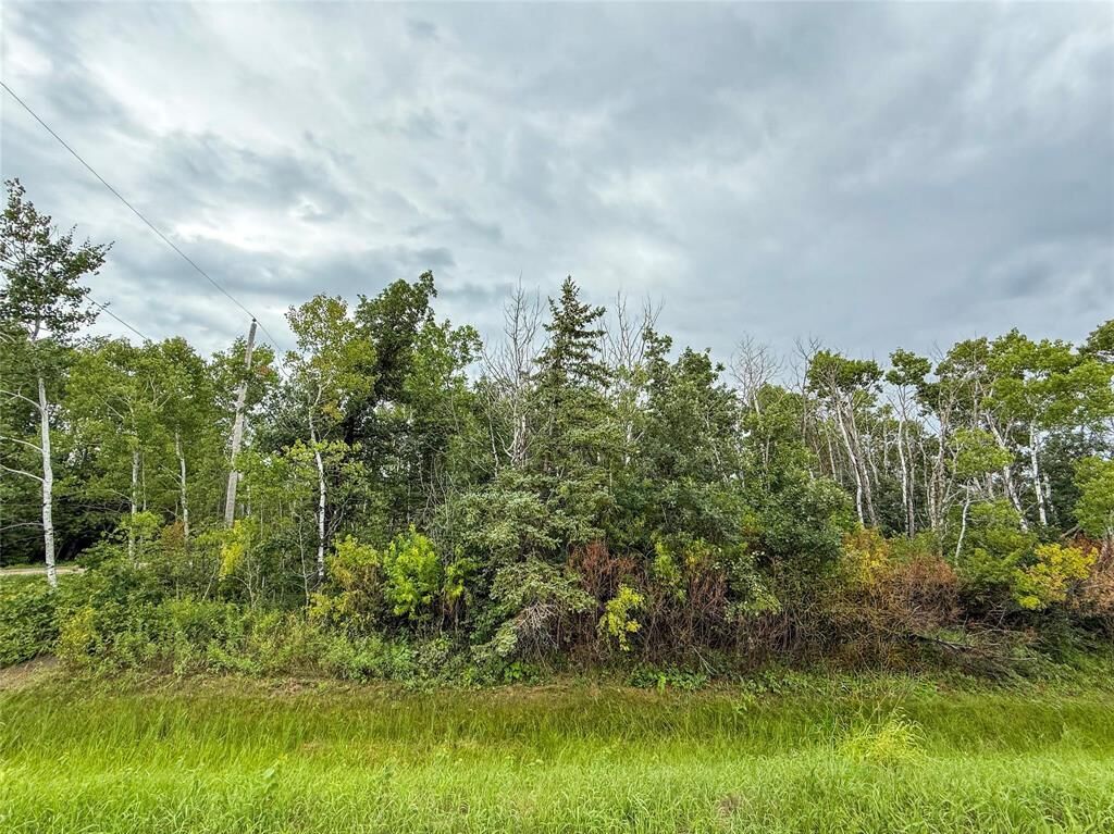 Property Photo:  201 Dunara Avenue  MB R0C 2L0 