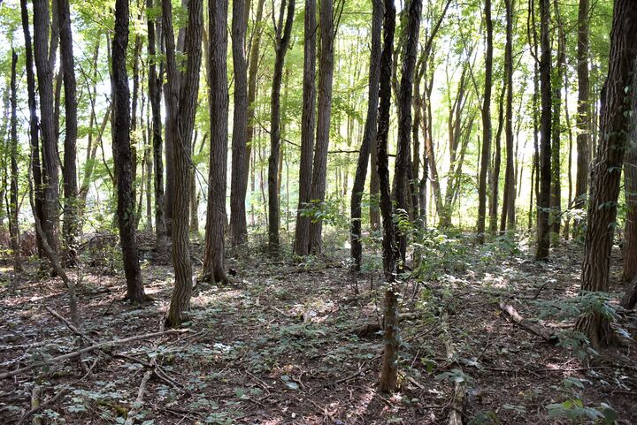 Property Photo:  12410 Dogwood Lane  PA 16316 