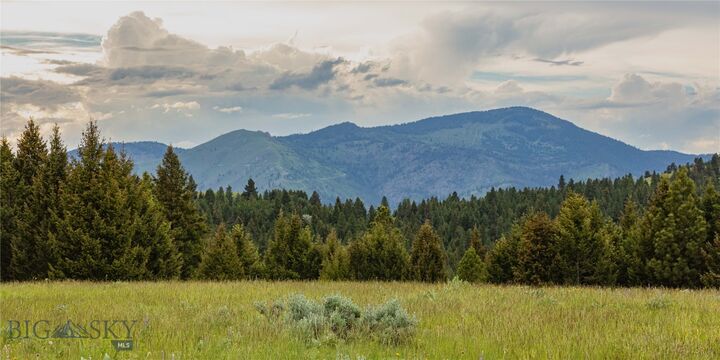 Property Photo: 3 Tract, Bull Elk MT 59832