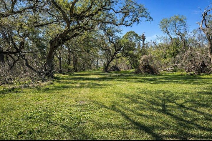 Property Photo:  342 Bluebonnet Drive  TX 77541 