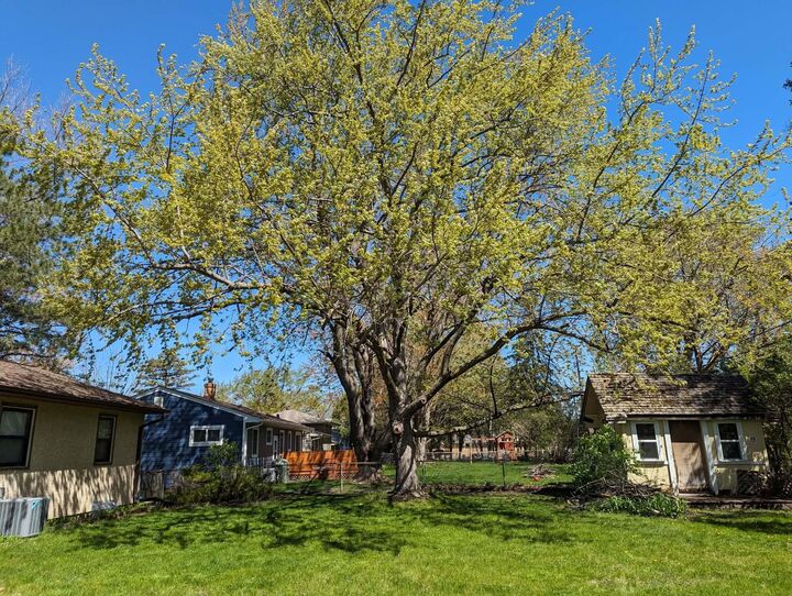 Property Photo:  3920 White Bear Avenue N  MN 55110 