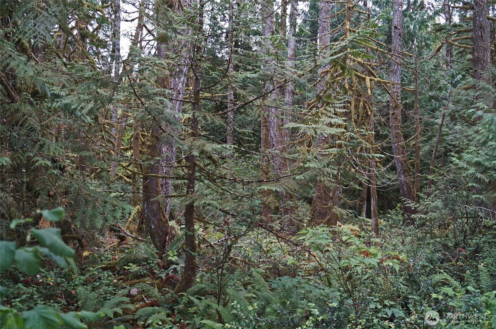 Property Photo: 15501 N US Highway 101 WA 98584