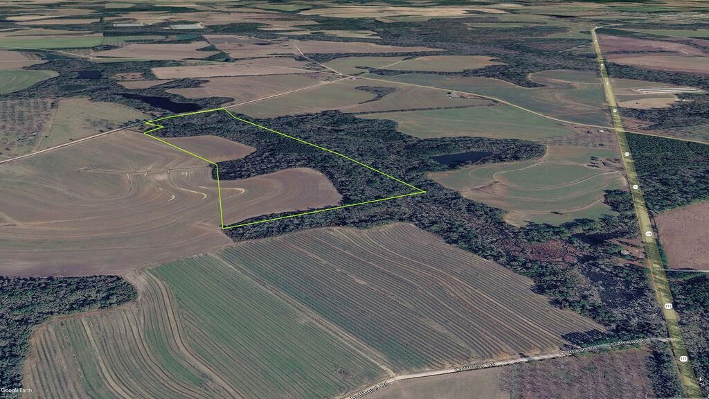 Property Photo:  00 Union Hill Rd.  GA 39828 