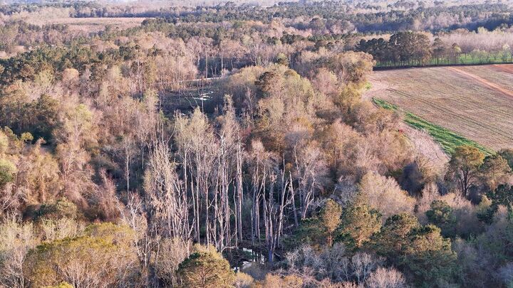 Property Photo:  00 Cuffhead Rd.  GA 39828 