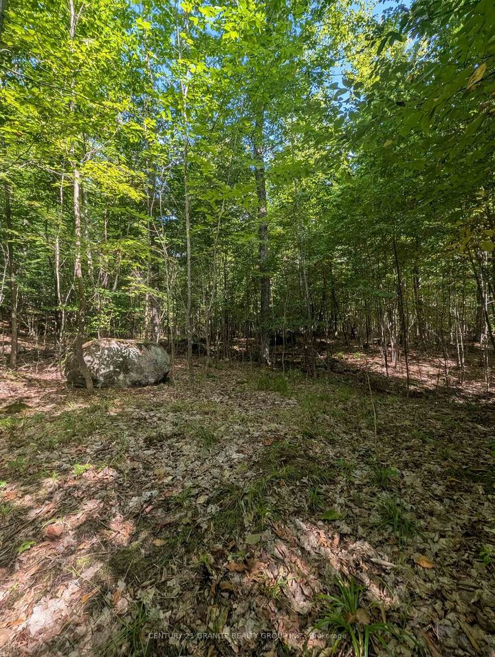 Property Photo:  00 Kamaniskeg Lake Road  ON K0J 1L0 