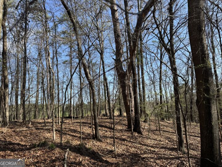 Property Photo: 1978 Wood Valley Road GA 31211
