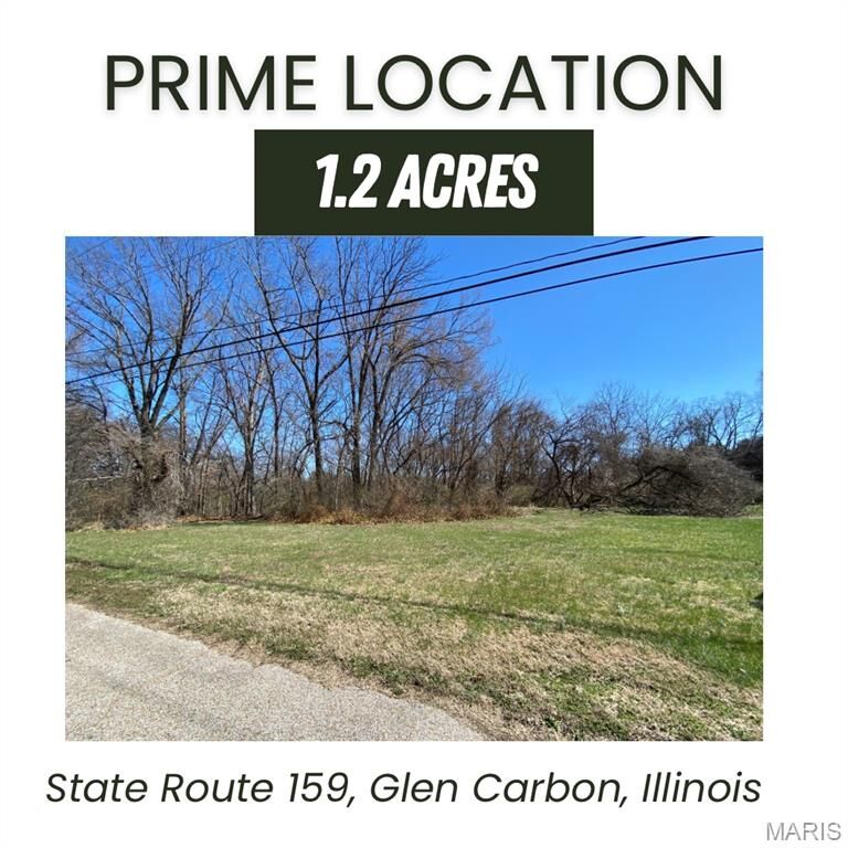 Property Photo:  0 S State Route 159  IL 62034 