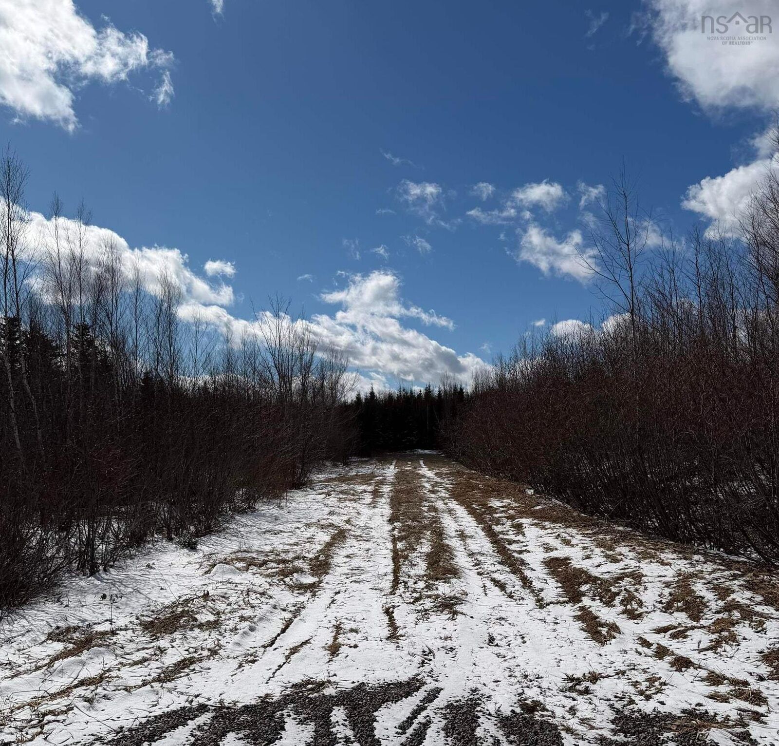 Property Photo:  25 Acres Lake Road  NS B6L 1G5 