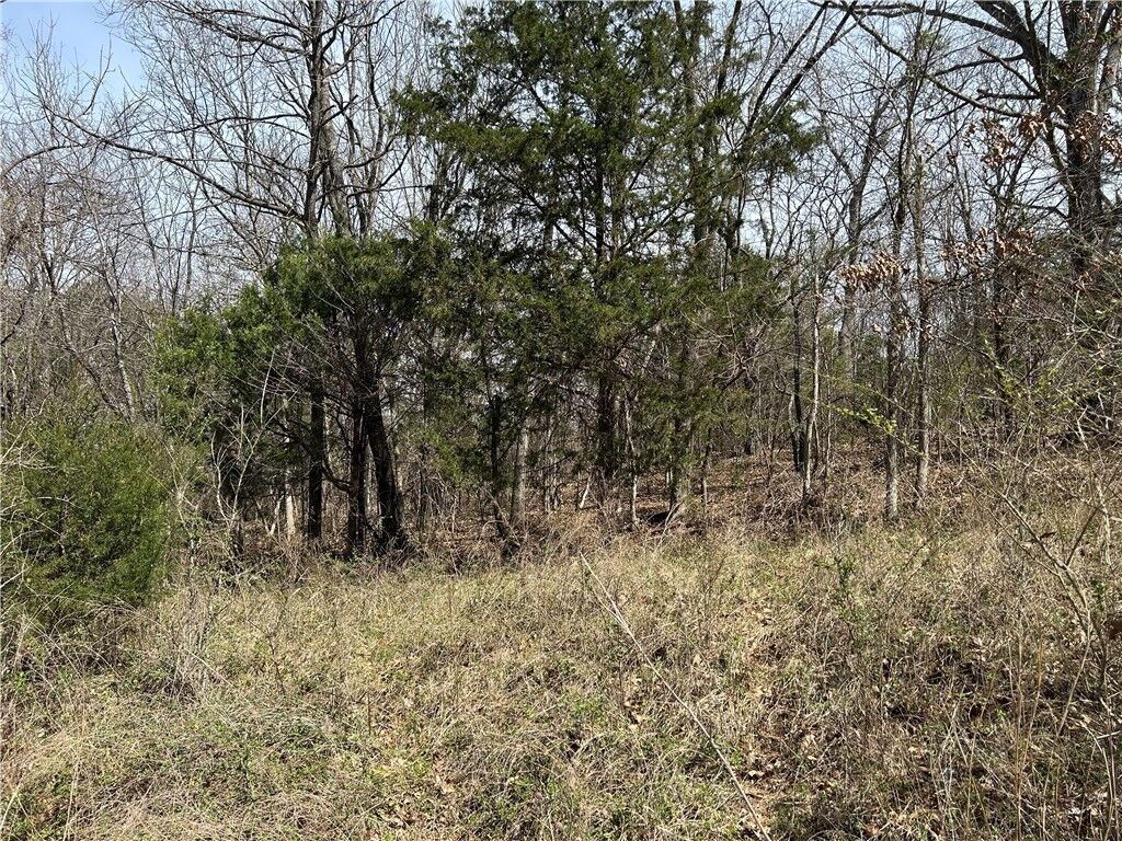 Property Photo: Tbd Trammell (Lot 6) Drive AR 72745