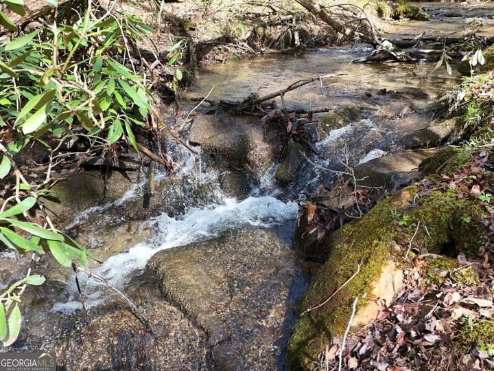 Property Photo: Lot 44A Synacia Drive GA 30559