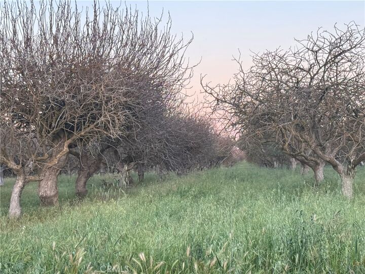 Property Photo:  0 Road 30  CA 93638 