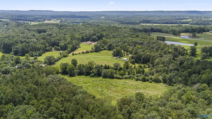 Property Photo:  11ac County Road 501  AL 35077 