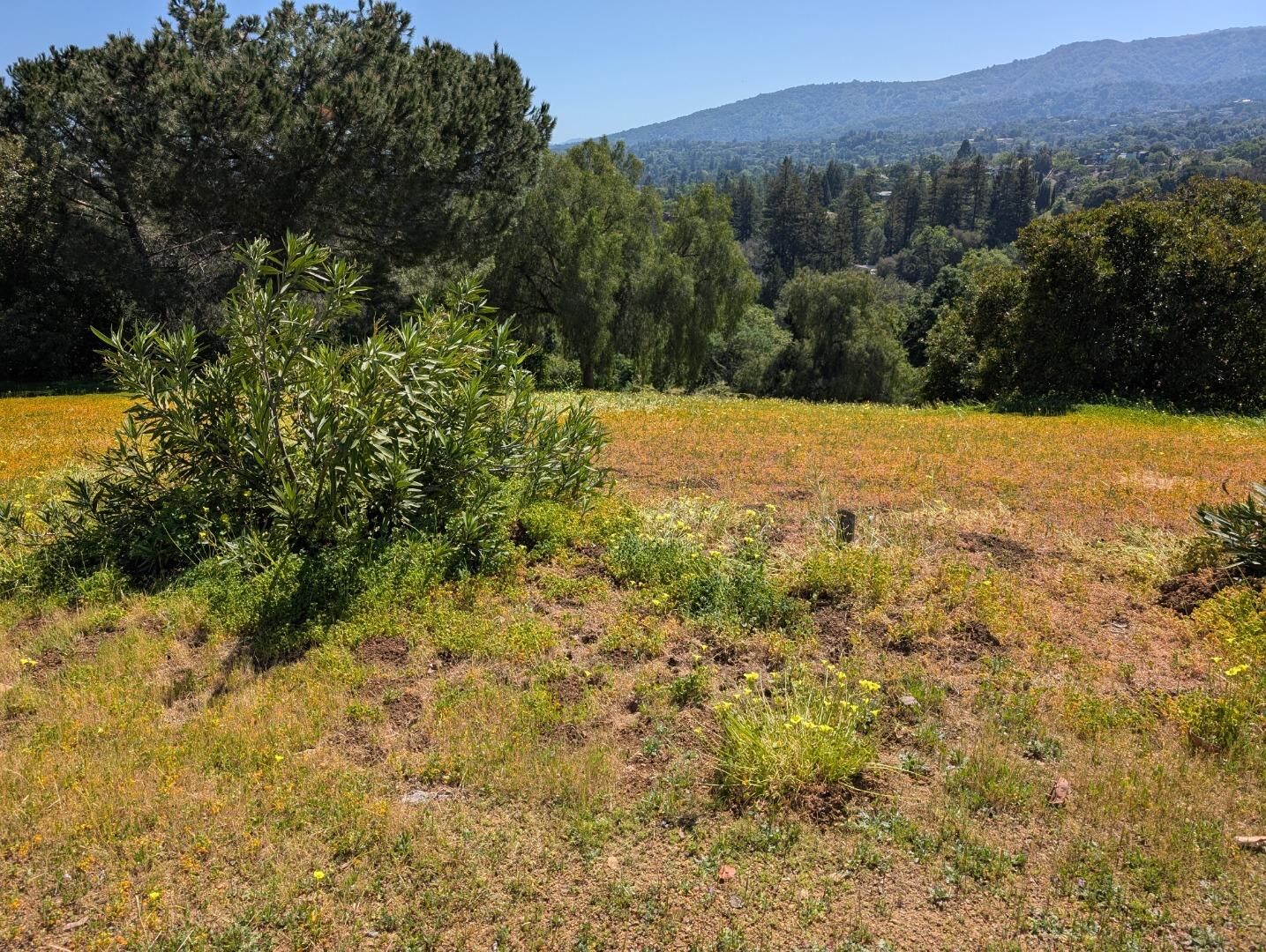 Property Photo:  0 Ruth Lee Court  CA 94024 