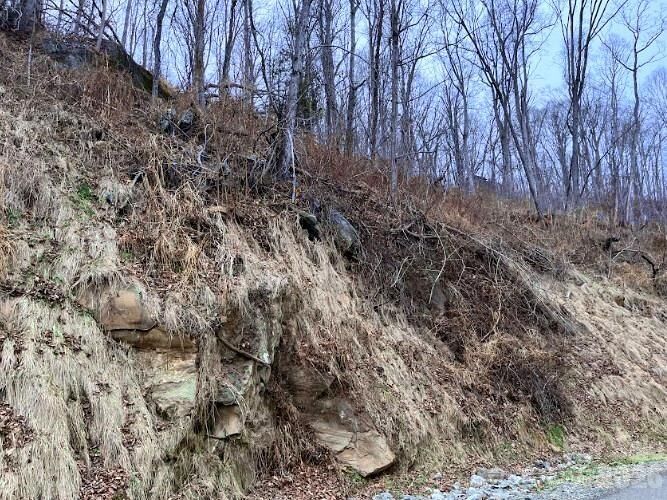 Property Photo:  89 Weeping Cherry Forest Road  NC 28730 