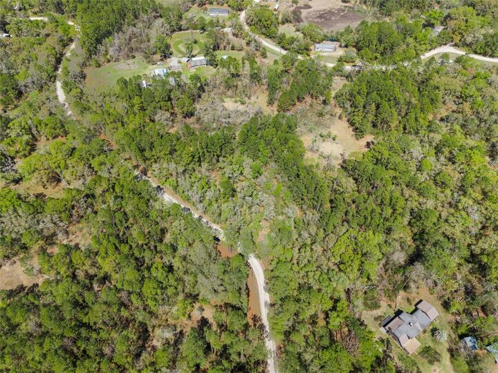 Property Photo:  0 SE 91st Trail  FL 32693 