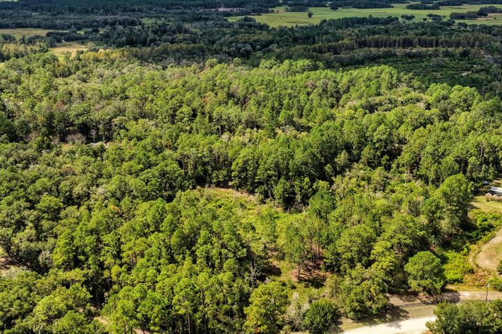 Property Photo: 0 SE 91st Trail FL 32693