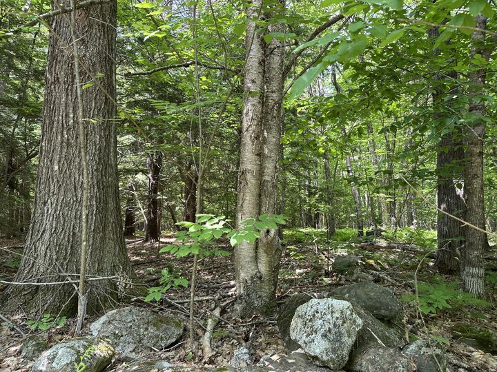 Property Photo:  0 Dingley Road  ME 04008 