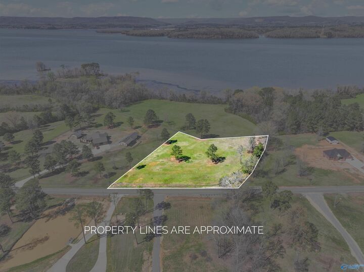 Property Photo:  2.21(+/-) Acres County Road 67  AL 35755 