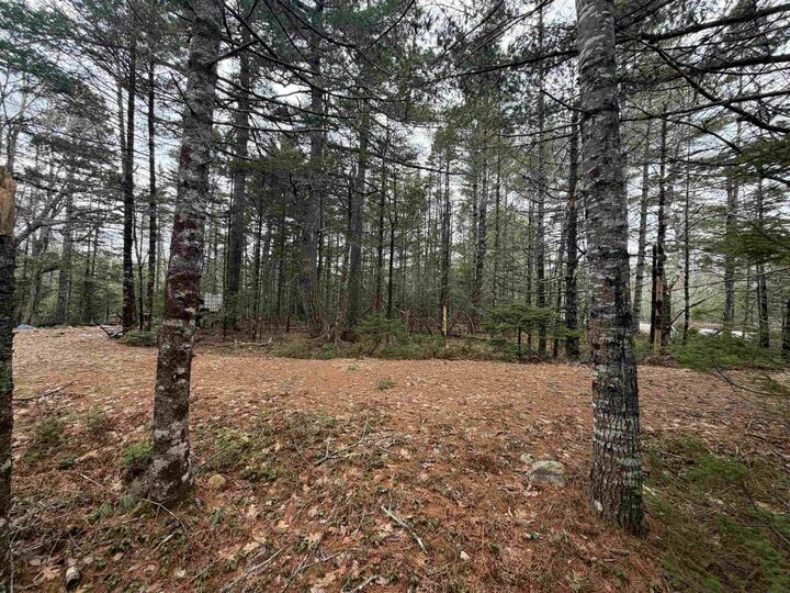 Property Photo:  Lot 5 Upper Clyde Road  NS B0T 1W0 