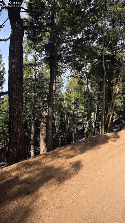 Property Photo:  321 Tillicum Trail  CO 80863 