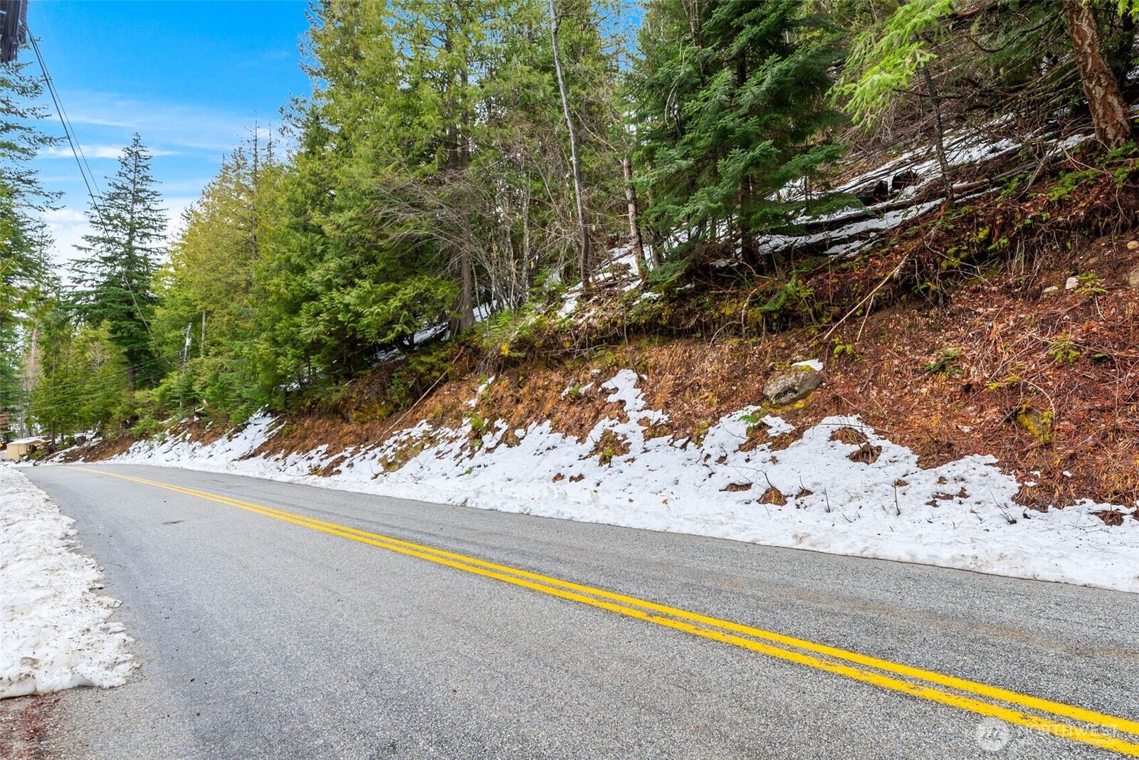 Property Photo:  0  Cedar Brae Lot 87  WA 98826 