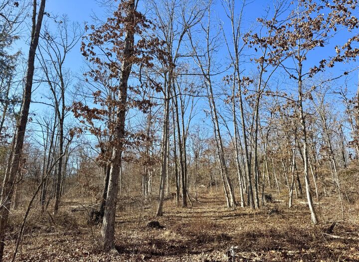 Property Photo:  000 Hart Road  MO 65702 