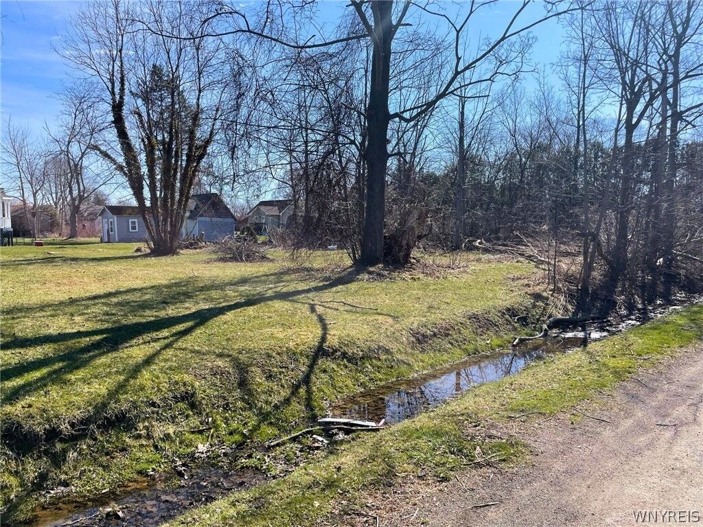 Property Photo:  0 Exchange Street  NY 14081 