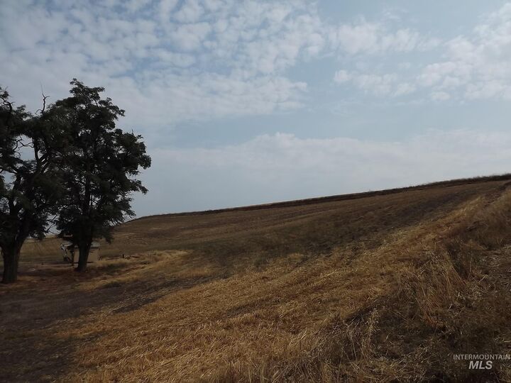 Property Photo: 19104 Webb Road ID 83501