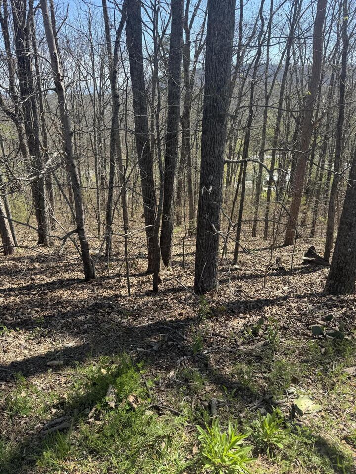 Property Photo:  Lot 21 Stoney Point Circle  GA 30740 