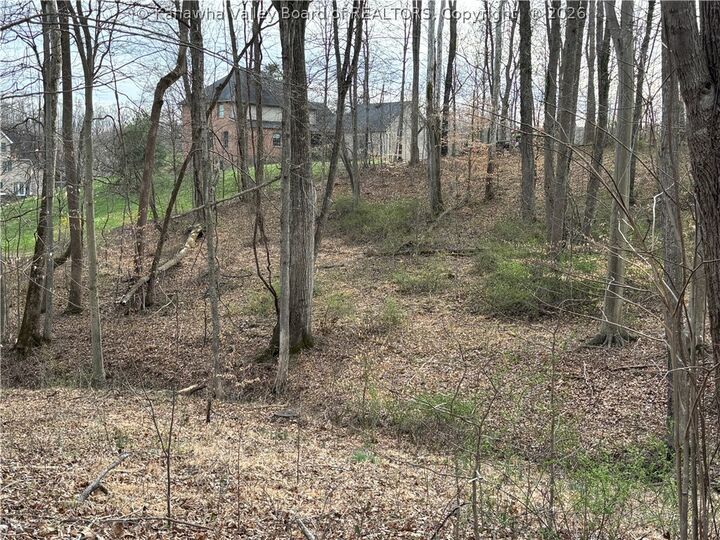 Property Photo:  0 A Stones Throw 28  WV 25177 