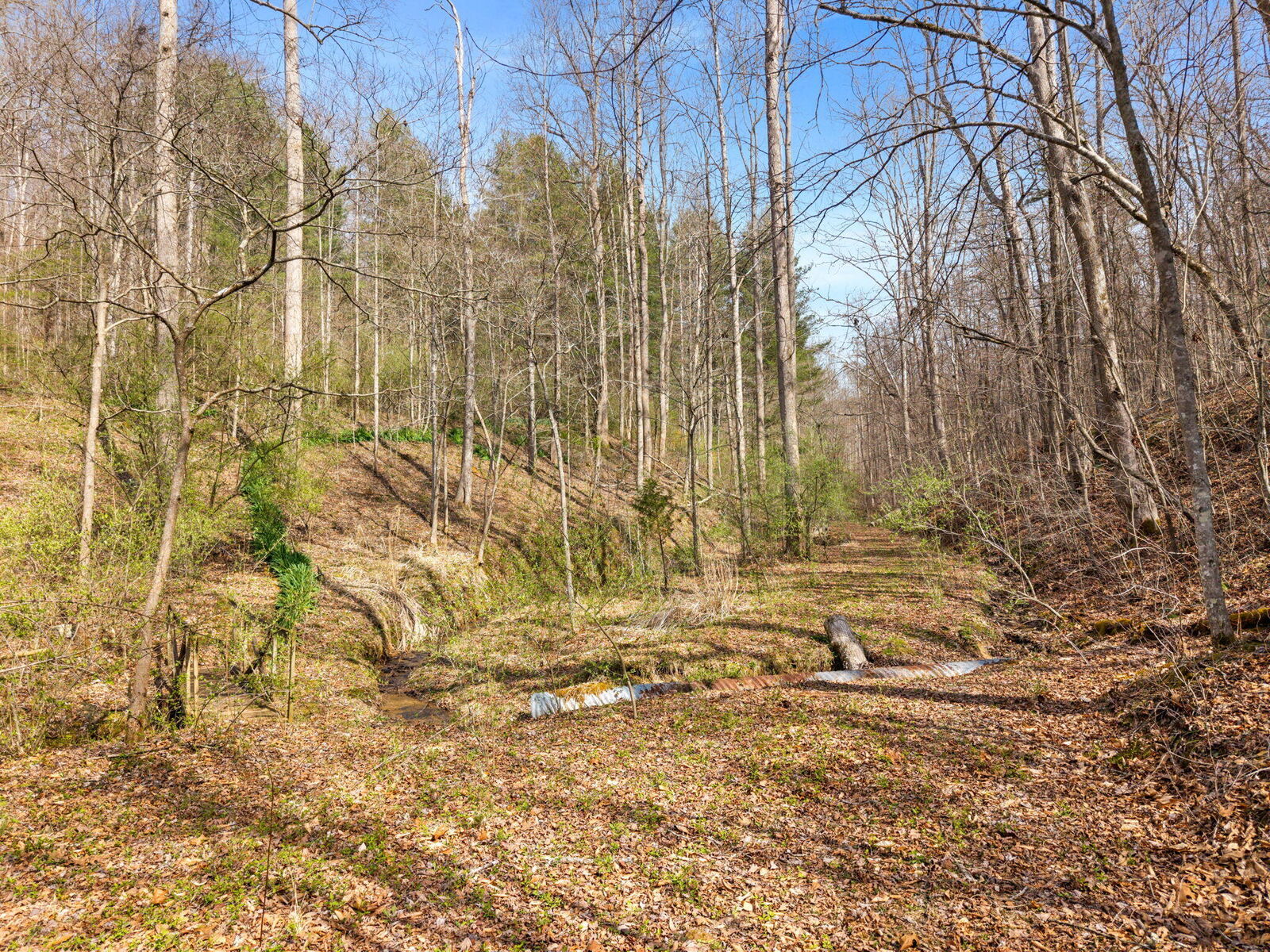 Property Photo:  1230 Possom Trot Road Road  KY 40962 