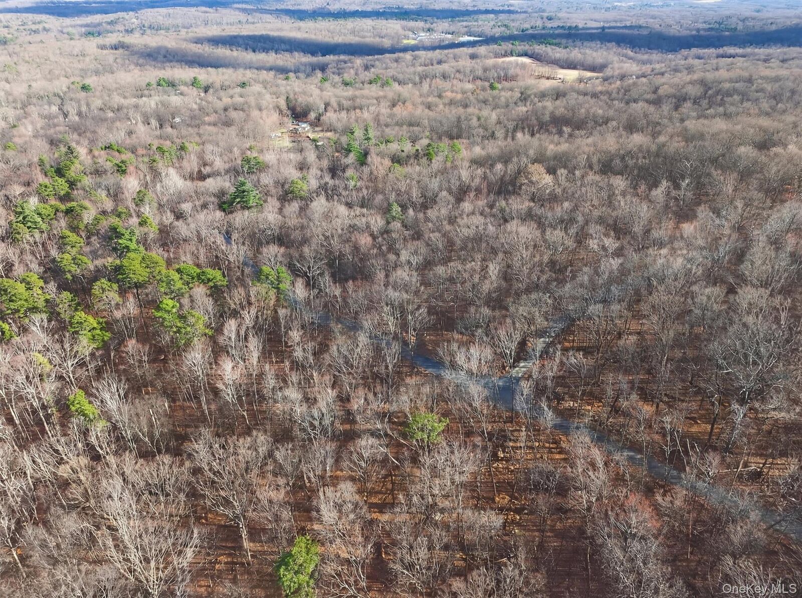 Property Photo:  Lenni Lenape Avenue  NY 12790 