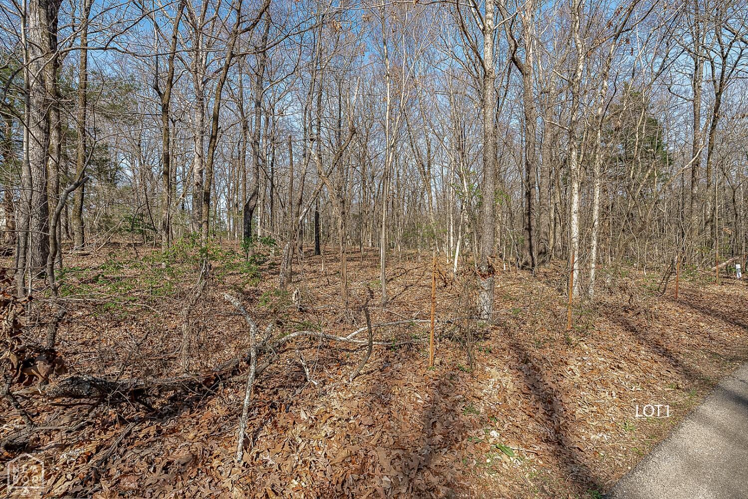 Property Photo:  1 Highway 351  AR 72405 